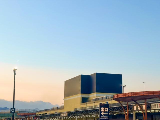 大型の雑貨店やホームセンターでの入手可能性