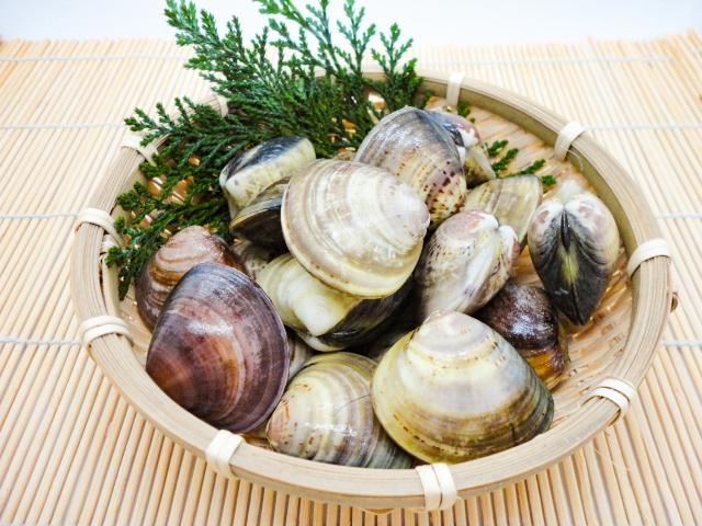 はまぐりが「少ししか開かない」3つの主な原因