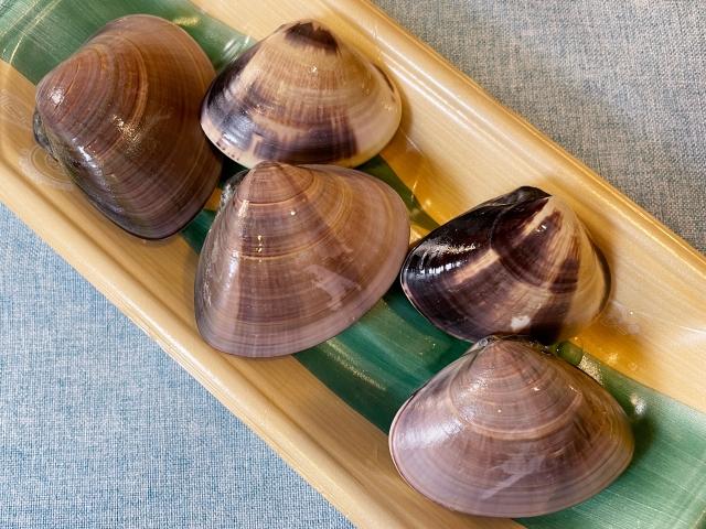 【危険】絶対に食べてはいけない「傷んでいるはまぐり」の特徴